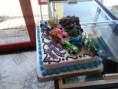 /album/foto%c4%9fraflar%3a-sude-pastanesi-memet-usta-web-sayfasina-ho%c5%9f-geldiniz/a20130912-172038-1-jpg/